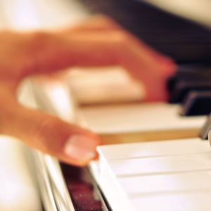 猫女误入面包加工厂
