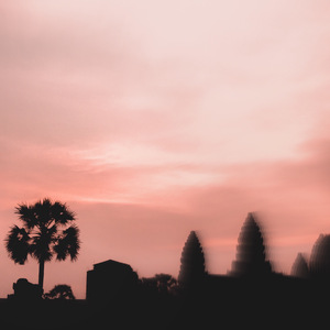 猫女误入面包加工厂
