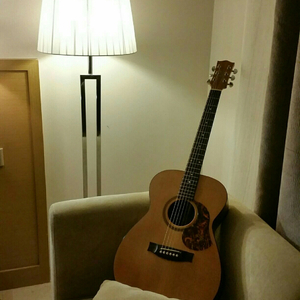 猫女误入面包加工厂
