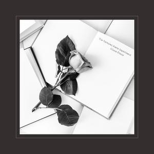 猫女误入面包加工厂
