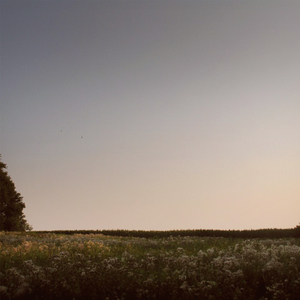 猫女误入面包加工厂
